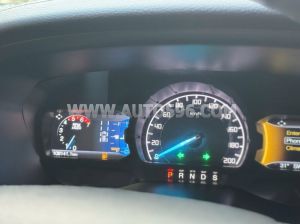 Xe Ford Everest Titanium 2.0L 4x4 AT 2020