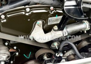 Xe Ford Transit SVP 2020