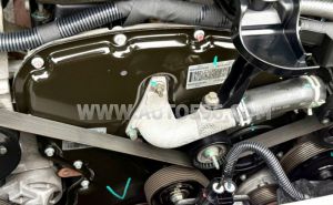 Xe Ford Transit SVP 2020