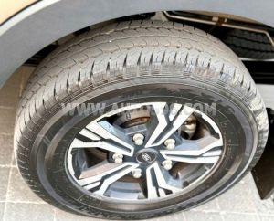 Xe Ford Transit Premium 2024