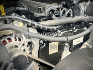 Xe Ford Ranger XLS 2.2L 4x2 AT 2016