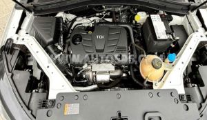 Xe MG HS 1.5T DEL 2024