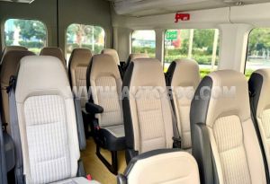 Xe Ford Transit Premium 2024