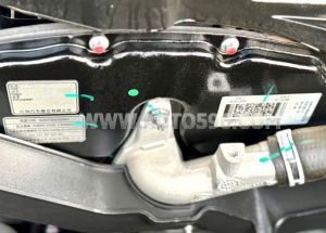 Xe Ford Transit Premium 2024