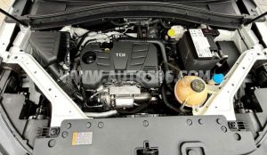 Xe MG HS 1.5T DEL 2024