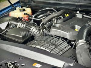 Xe Ford Ranger Raptor 2.0L 4x4 AT 2022