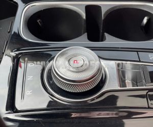 Xe Kia Carnival Signature 2.2D 2022